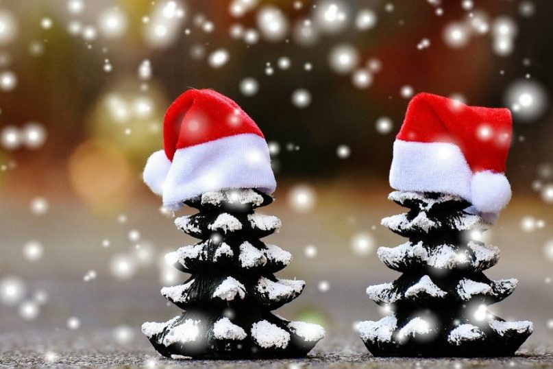 Repas du temps des fêtes